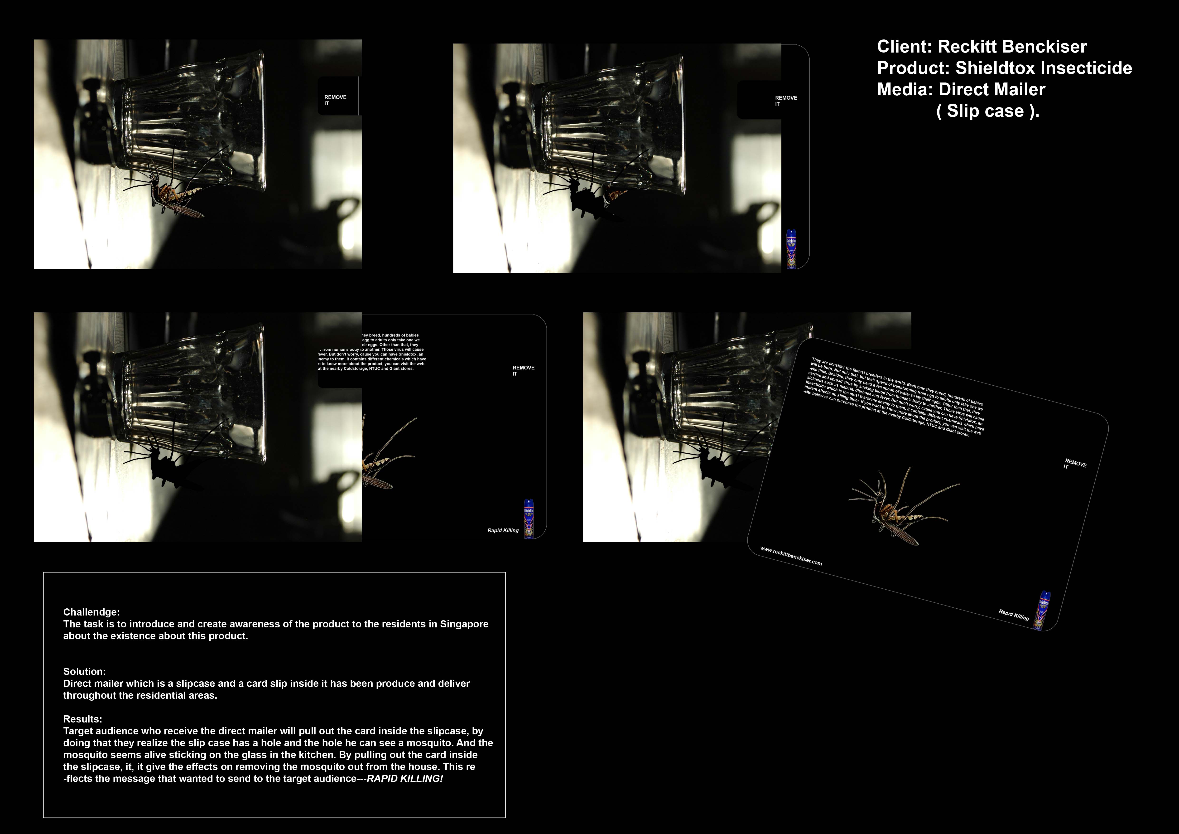 Direct mailer A3 final.jpg