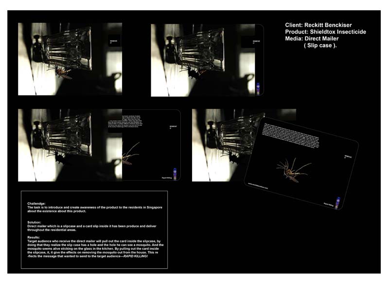 Direct mailer A3 final.jpg