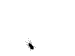 europa.gif