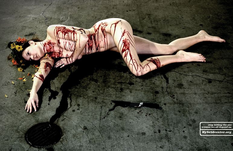 [photographer]  Jared Creason [copywriter]  Jared Creason, Brandon Willingham [art director]  Jared Creason [client]  Hybridcenter.org [institute] VCU Adcenter &amp;quot;Stop killing the one woman we all depend on&amp;quot;