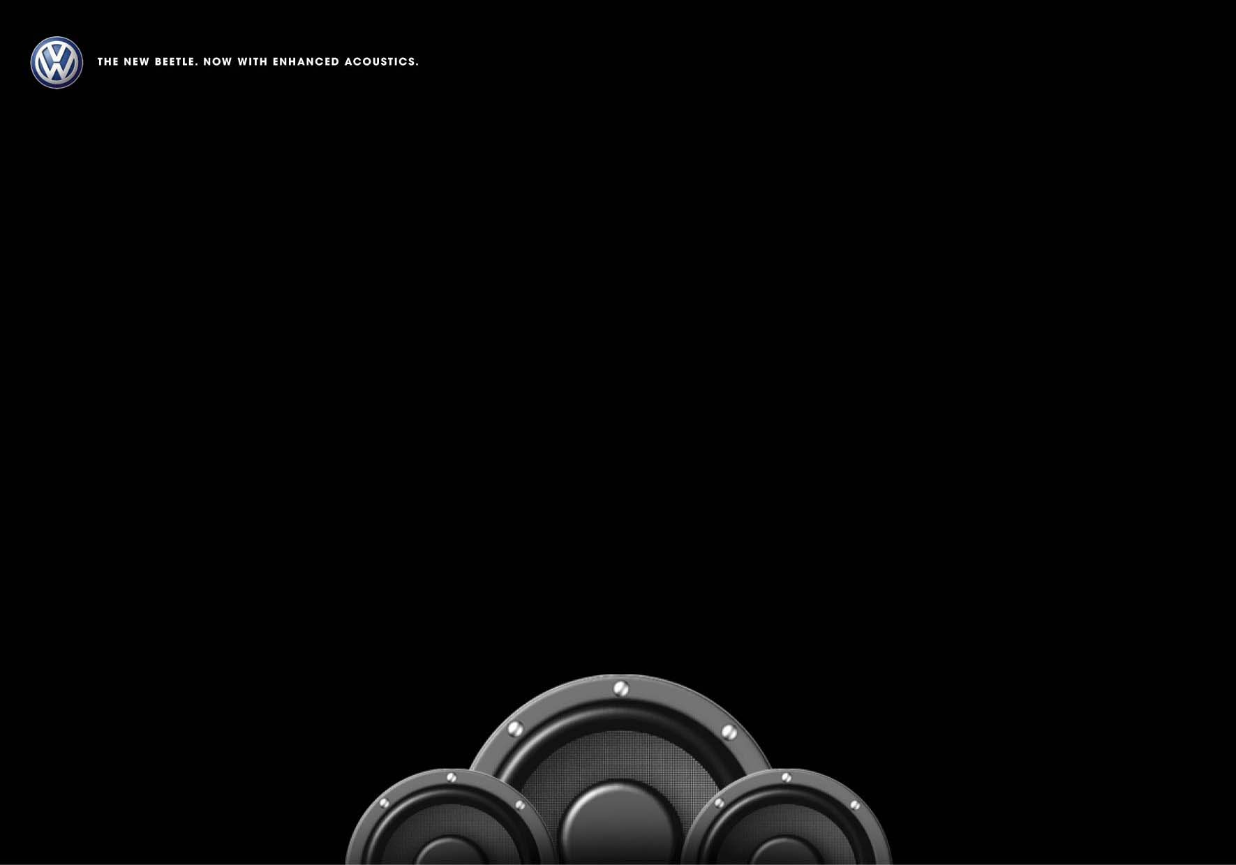 beetle 1.JPG