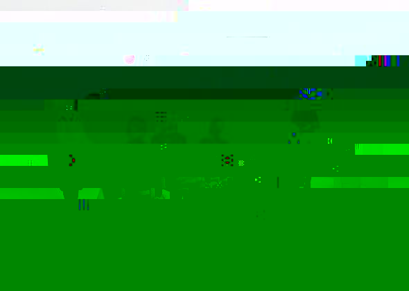 l1.jpg