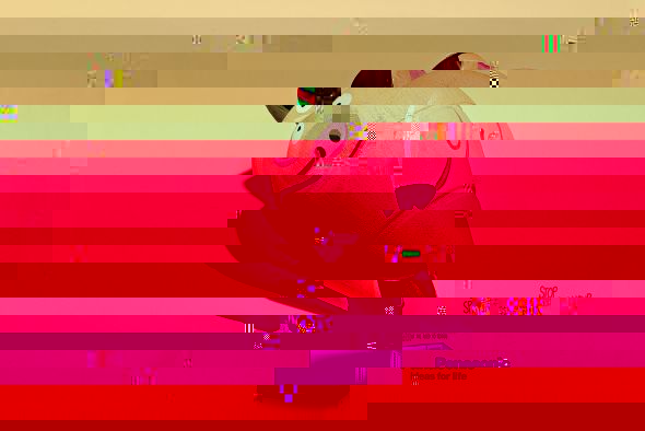 m1.jpg