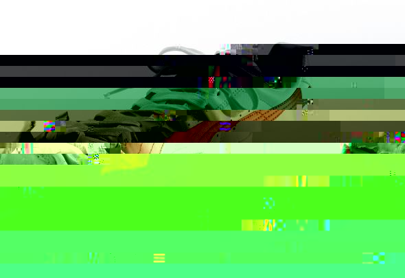 t1.jpg