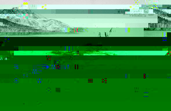 s3.jpg
