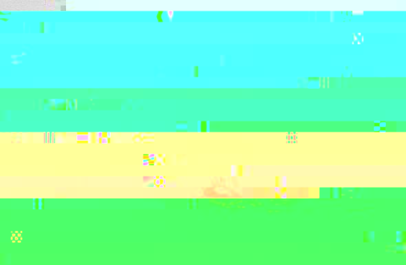 s2.jpg