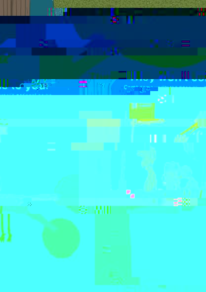 is3.jpg