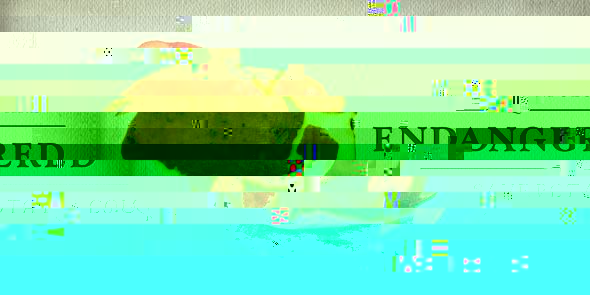 p2.jpg