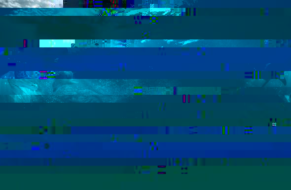 s2.jpg