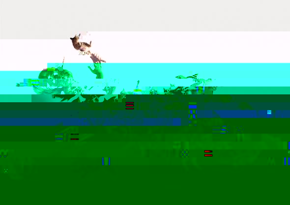 f1.jpg