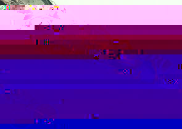 b1.jpg