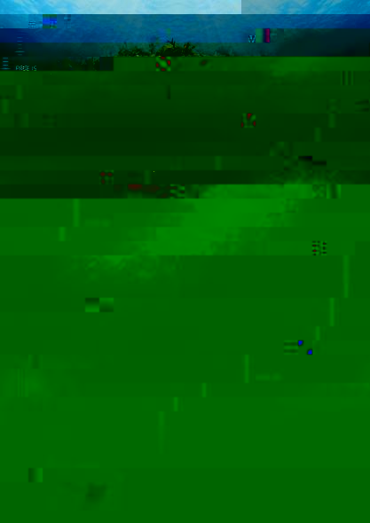 s1.jpg