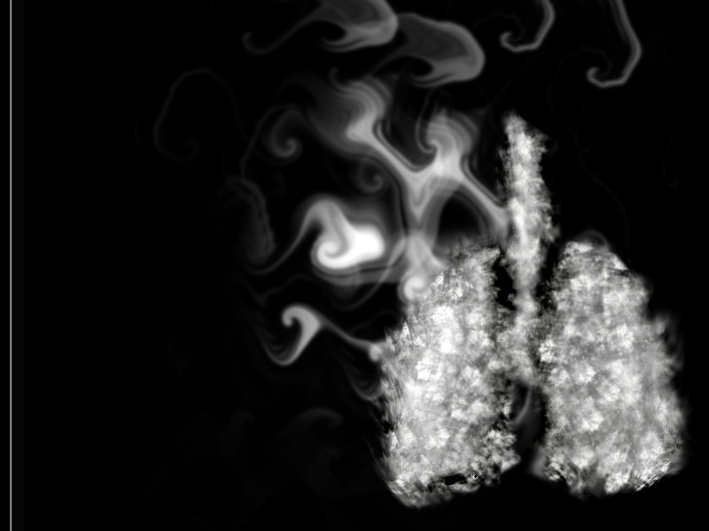 Pulmón_Smoke.JPG