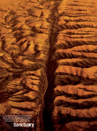 For the sake of the tiger, the deer must live.<br />For the sake of the deer, the grasslands must live.<br />For the sake of the grasslands, the rivers must live.<br />For the sake of the earth, the tiger must live.